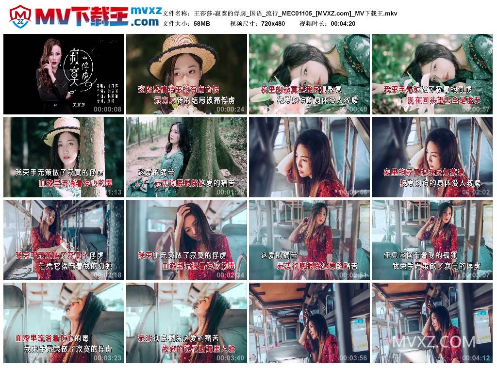 王莎莎-寂寞的俘虏_国语_流行_MEC01105